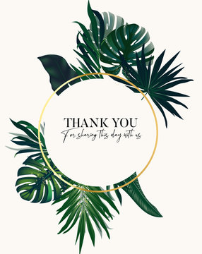 Safari palm tropical ullustration. garden luxury drawing design for weddng invire, cosmetics, spa, perfume, health care products, aroma, wedding invitation. Vector