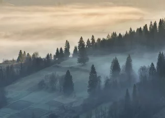 Crédence en verre imprimé Forêt dans le brouillard lever de soleil brumeux dans les Carpates. brouillard pittoresque entre les pentes des montagnes d& 39 automne