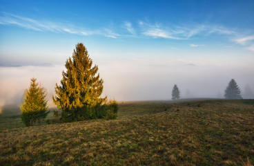 foggy sunrise in the Carpathians. picturesque fog between the slopes of autumn mountains