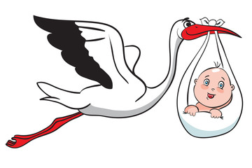 Cartoon stork carries a newborn baby on white background