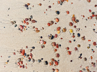 Colorful wet stones on beach sand.