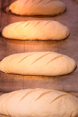 Making bread by bakers at the factory. Bread dough