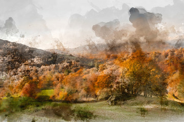 Fototapeta premium Digital watercolor painting of Beautiful vibrant Autumn Fall landscape of woodland in early morning light over English countryside