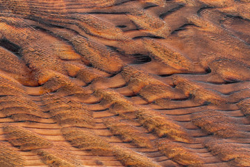 Unusual abstract wooden bark texture background pattern