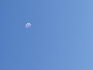 moon in the sky