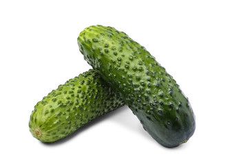 Two fresh cucumbers isolated on white background.
