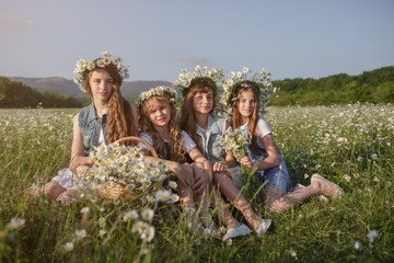 Fototapeta premium Four Teen girls enjoys spring in daisy field.