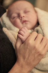 Newborn Hands 