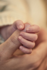 Newborn Hands 