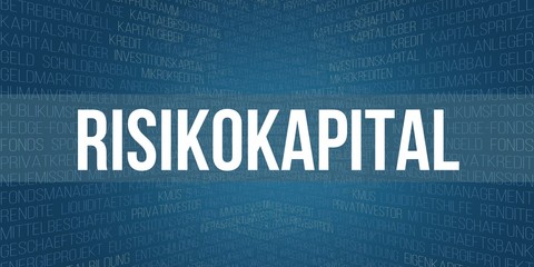 Risikokapital