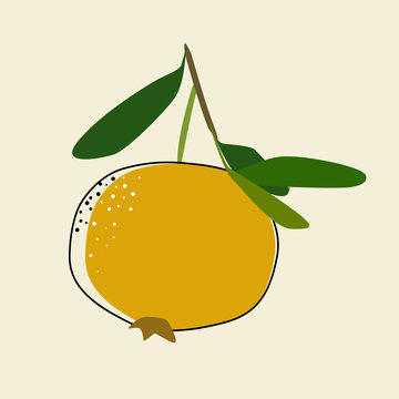 Fruit vector illustration. Healthy lifestyle design. Scandinavian style. Kitchen art. 