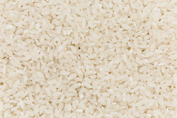 Heap of white glutinous rice close-up as background. Organic white rice, glutinous rice or sticky rice for design nature foods background.