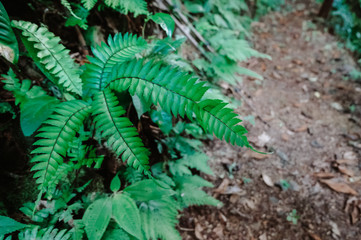 Along the path