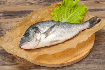 Raw Dorada fish  for cooking
