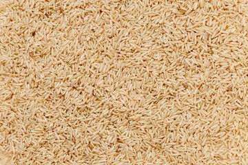 Brown healthy rice background. pattern texture, top view