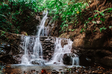 Rainforest Waterfall