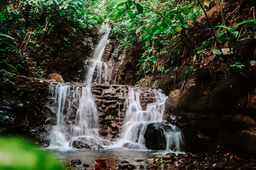 Waterfalls in the Jungle