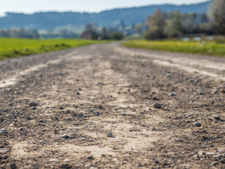 Close-up of a dirt road on the border of a lake in Switzerland,  in Spring