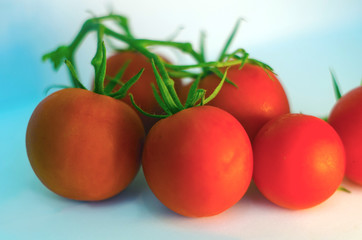 red tomatoes on isolated background, fresh tomatoes, vegetables