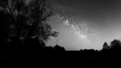 Sterne über Waldlichtung in Schwarz Weiß