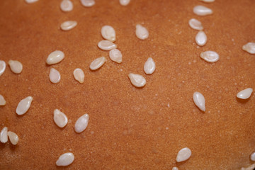 Close up of a bread texture with sesame seeds.