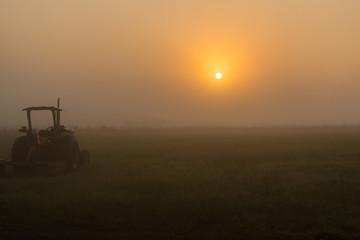 Fototapeta premium Farm Tractor and Foggy Sunrise, Washington County, Texas, USA