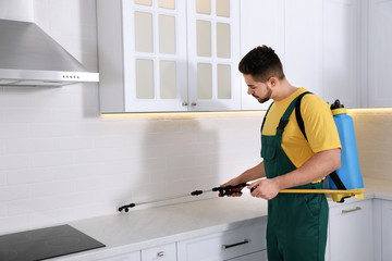 Pest control worker spraying insecticide on furniture in kitchen