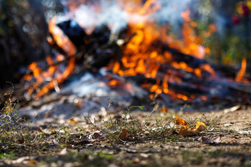 Nature and the flame of fire in the background.