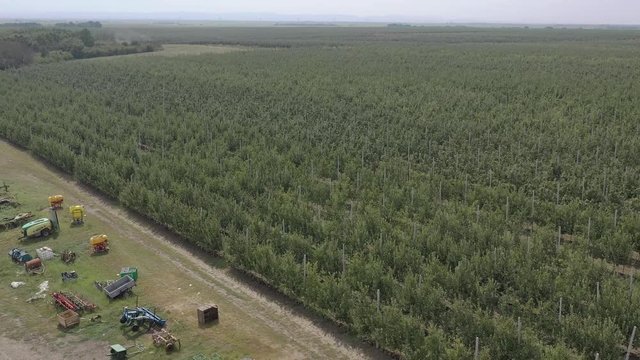Apple plantation, orchard with anti hail net for protection from above, aerial shot, natural disaster and severa weather protection in agriculture, fruit production