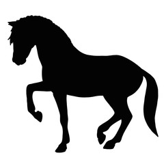 Horse icon. Black silhouette of a farm animal 