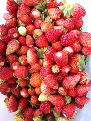 tasty ripe red strawberries on  blurry background