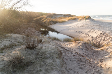 sandy beach in winter