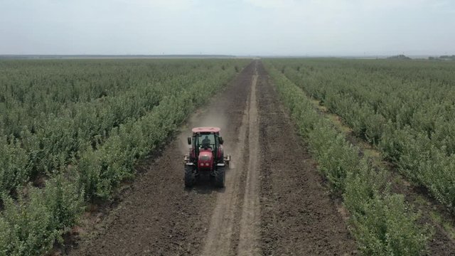 Apple plantation, orchard with anti hail net for protection from above, aerial shot, natural disaster and severa weather protection in agriculture, fruit production