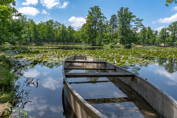 boat on the lake
