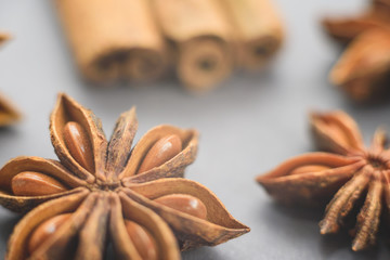 A star of anise tree on the grey background.