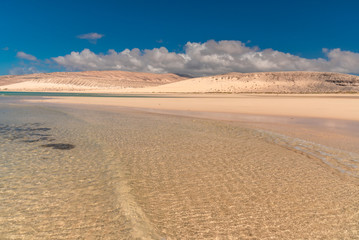 Fototapeta na wymiar Fuerteventura island eternal spring