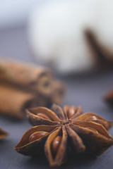 A star of anise tree on the grey background.
