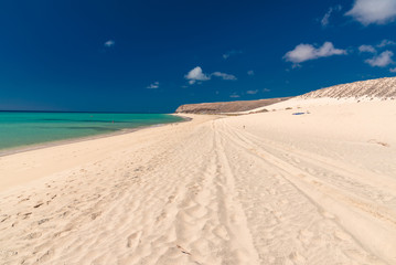 fuerteventura island Canaries