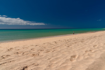 fuerteventura island Canaries