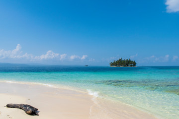 Beach Paradise