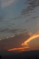 Fototapeta premium NATURALEZA, VIDA Y DETALLES EN UN RECINTO DE LOS SUEÑOS