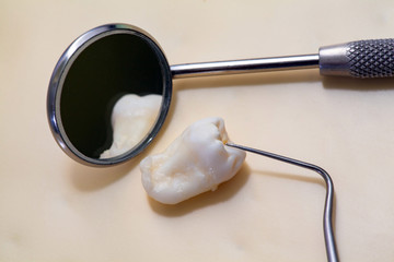Real Human Wisdom tooth and Dental Mirror