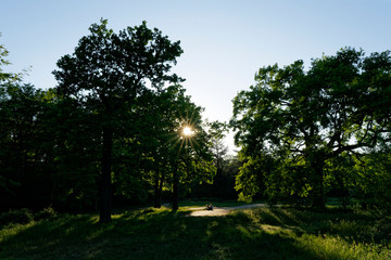 Sunset in the park