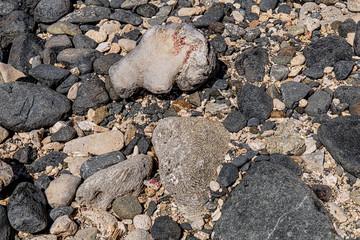 The varied rocks on the beach at the Natural Pool