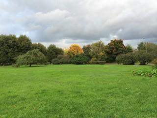 autumn landscape with trees