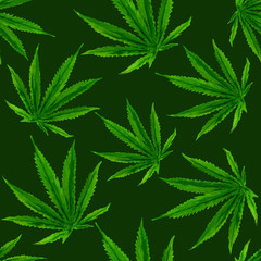 Marijuana gouache seamless pattern . Hemp marijuana, hemp leaves on dark green background. Green smoke hashish narcotic