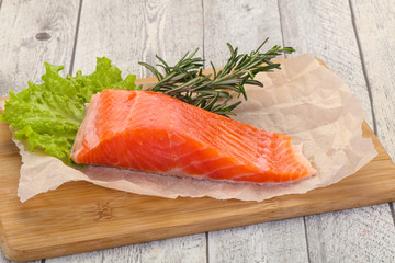 Piece of raw salmon