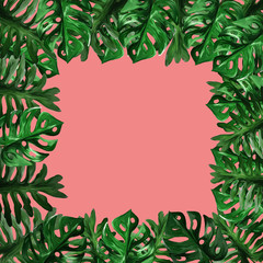 Exotic tropical jungle floral frame with monstera leaves and place for text on pink background