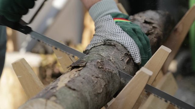 H&auml;nde s&auml;gen einen Holzstamm zu Kaminholz oder Brennholz mithilfe einer B&uuml;gels&auml;ge