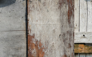 The structure of the old tree. The paint is climbing off the wall. Old paint. The structure of the old paint. Old vintage door